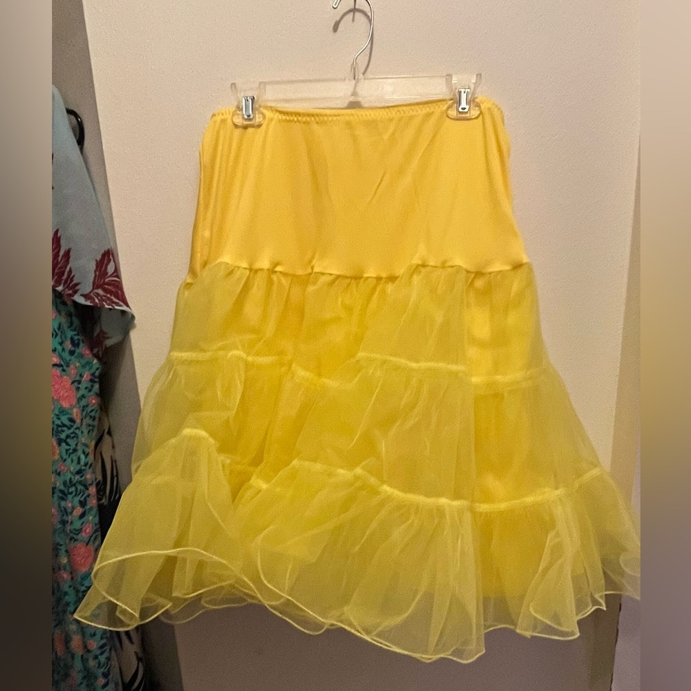 Petticoat/Square Dancing skirt